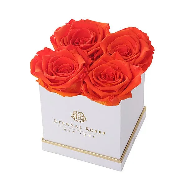 Product image 106